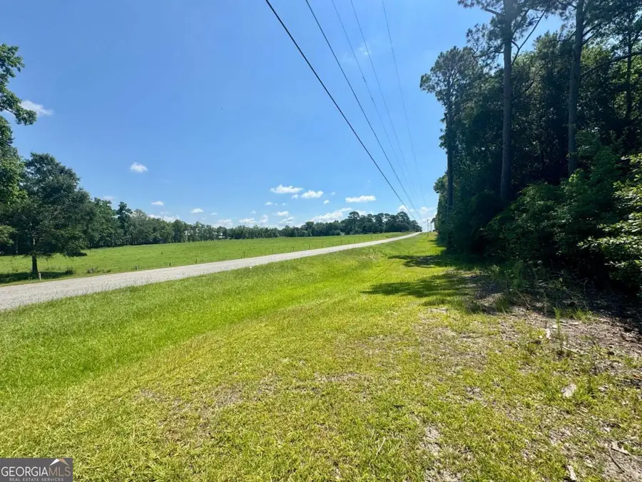 TRACT 1 Whiddon Milll Road, Poulan, GA 31781 - #3