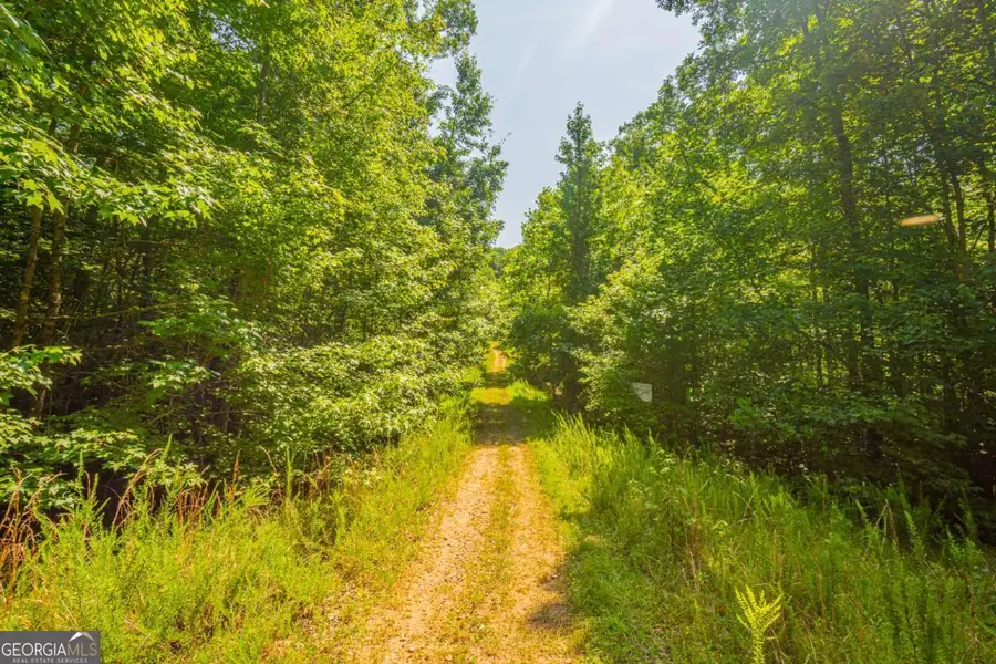 0 Old Cherokee Way, Dawsonville, GA 30534 - #3