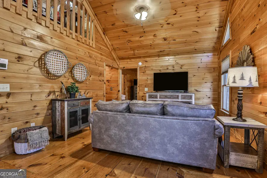 56 Olaf Court, Ellijay, GA 30540 - #3