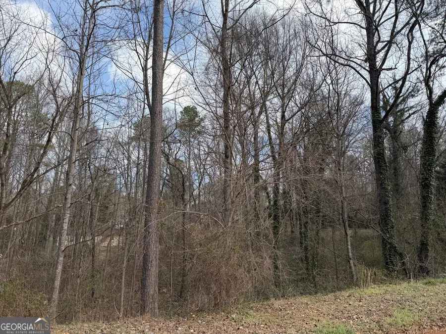 66 Red Top Circle, Emerson, GA 30137 - #2