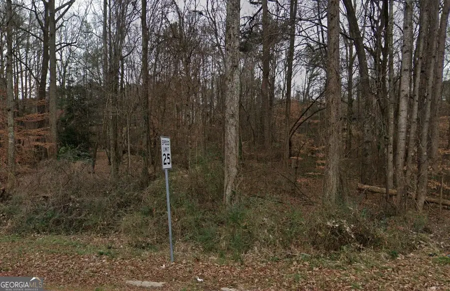 2256 Chestnut Log Drive, Lithia Springs, GA 30122 - #2