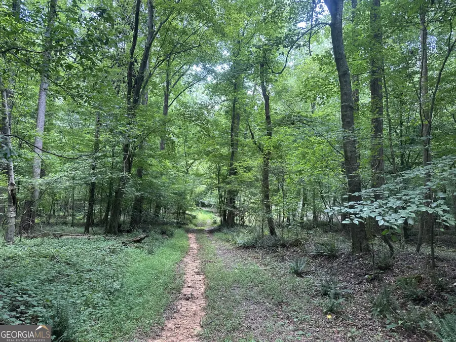 360 Happy Hollow Road, Comer, GA 30629 - #3