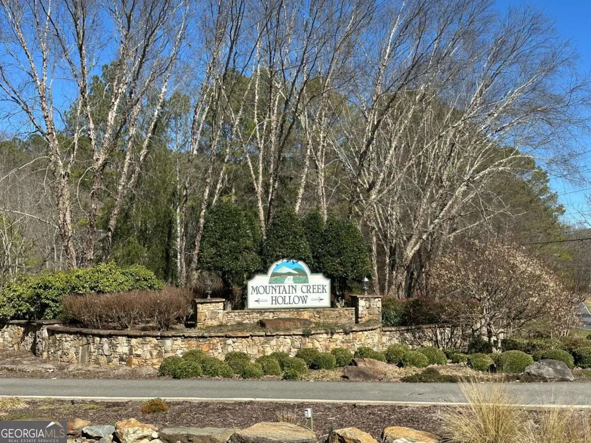 59R Coffee Mill Run, Talking Rock, GA 30175 - #1