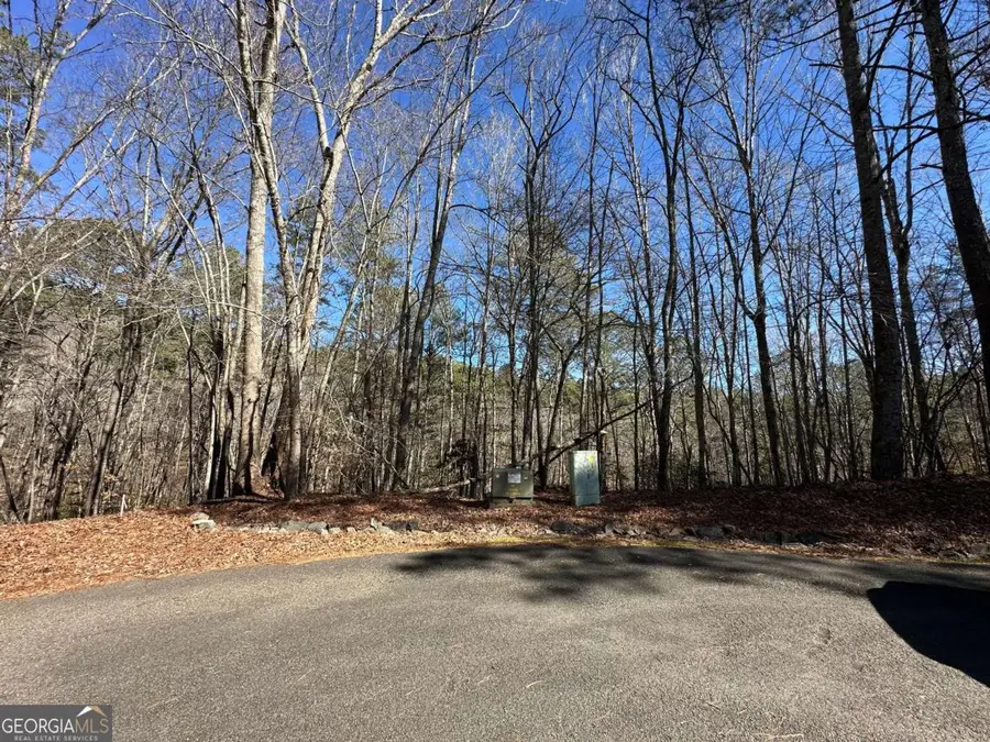 59R Coffee Mill Run, Talking Rock, GA 30175 - #3