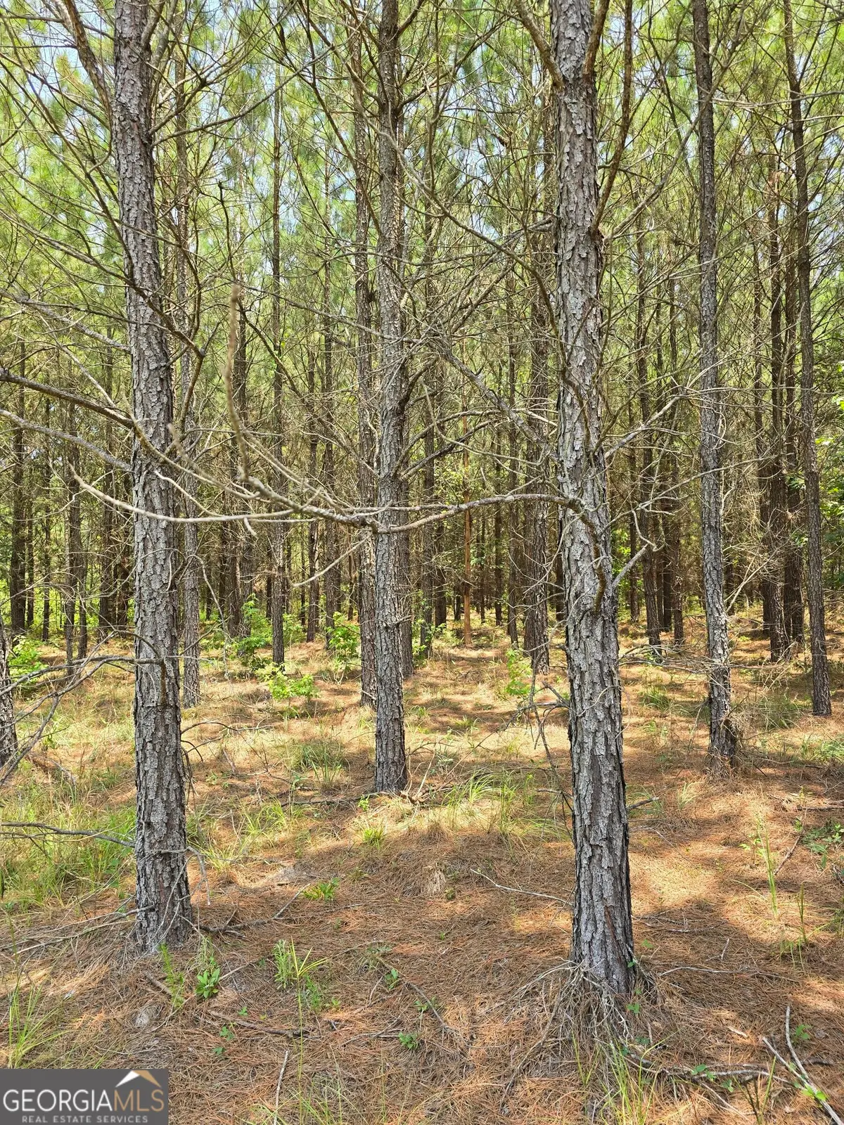 TBD Ga Hwy 56 N, Waynesboro, GA 30830 - #1