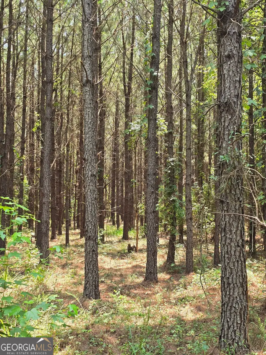 TBD Ga Hwy 56 N, Waynesboro, GA 30830 - #2