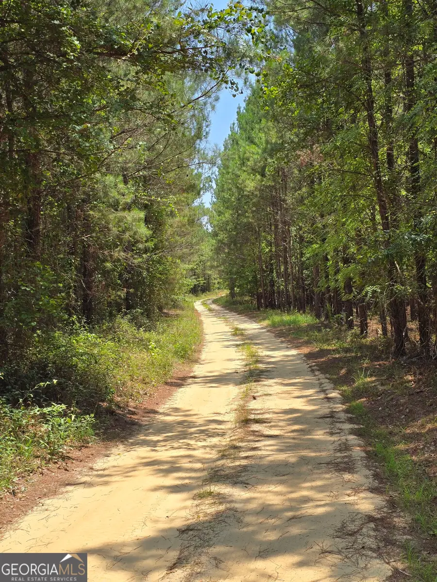 TBD Ga Hwy 56 N, Waynesboro, GA 30830 - #3