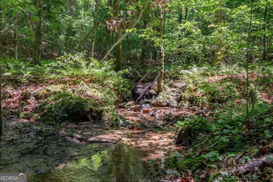 5 AC Solar Drive, Blue Ridge, GA 30513 - #2