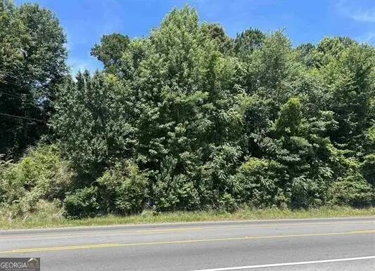 0 Highway 431, Roanoke, AL 36274 - #1