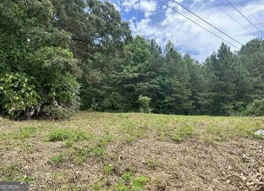 0 Highway 431, Roanoke, AL 36274 - #2