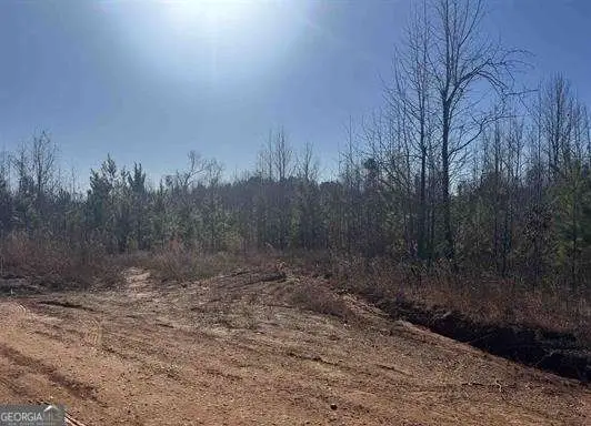 1661 County Road 637, Roanoke, AL 36274