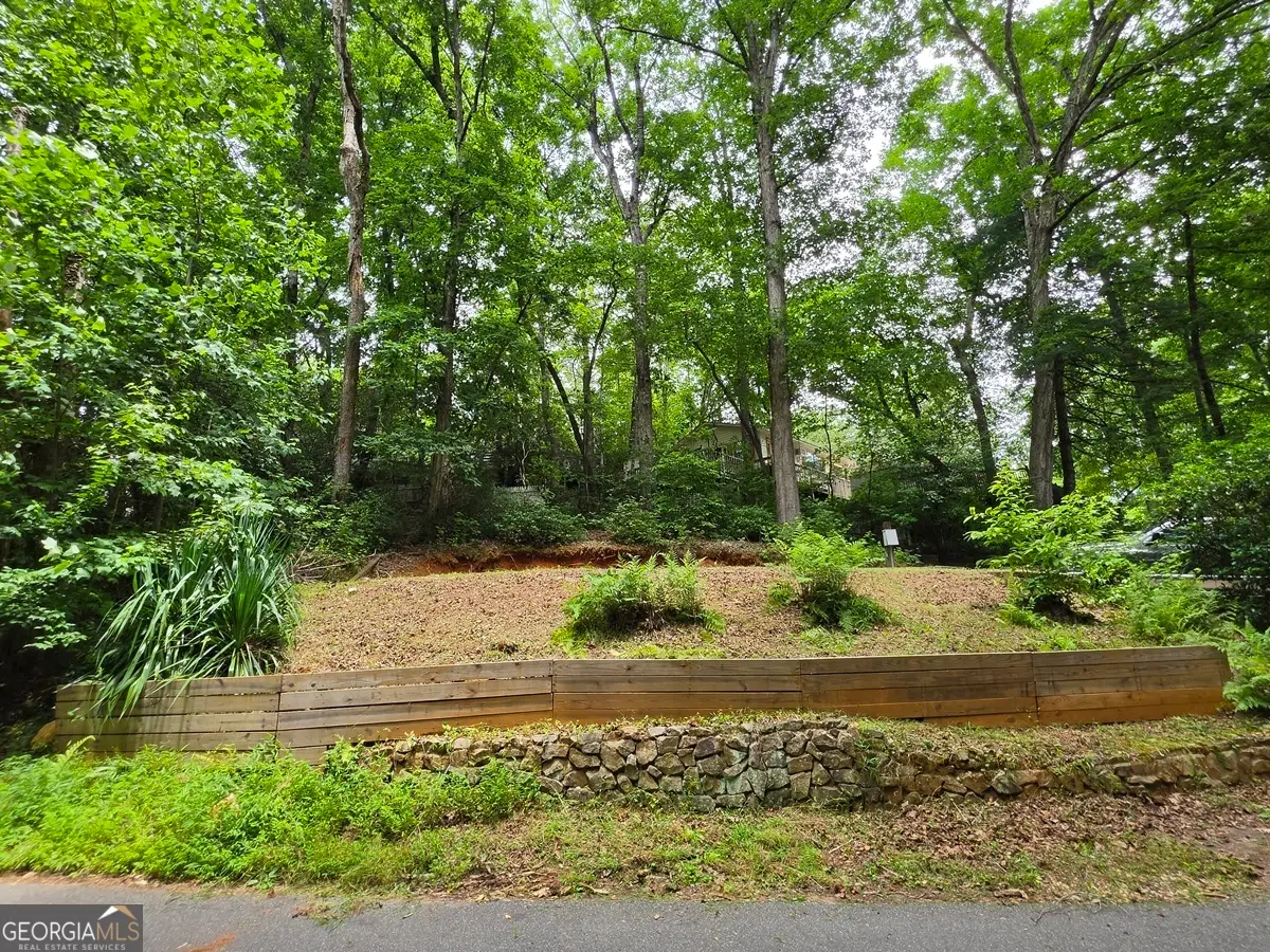 238 Magnificent Way, Cleveland, GA 30528 - #1