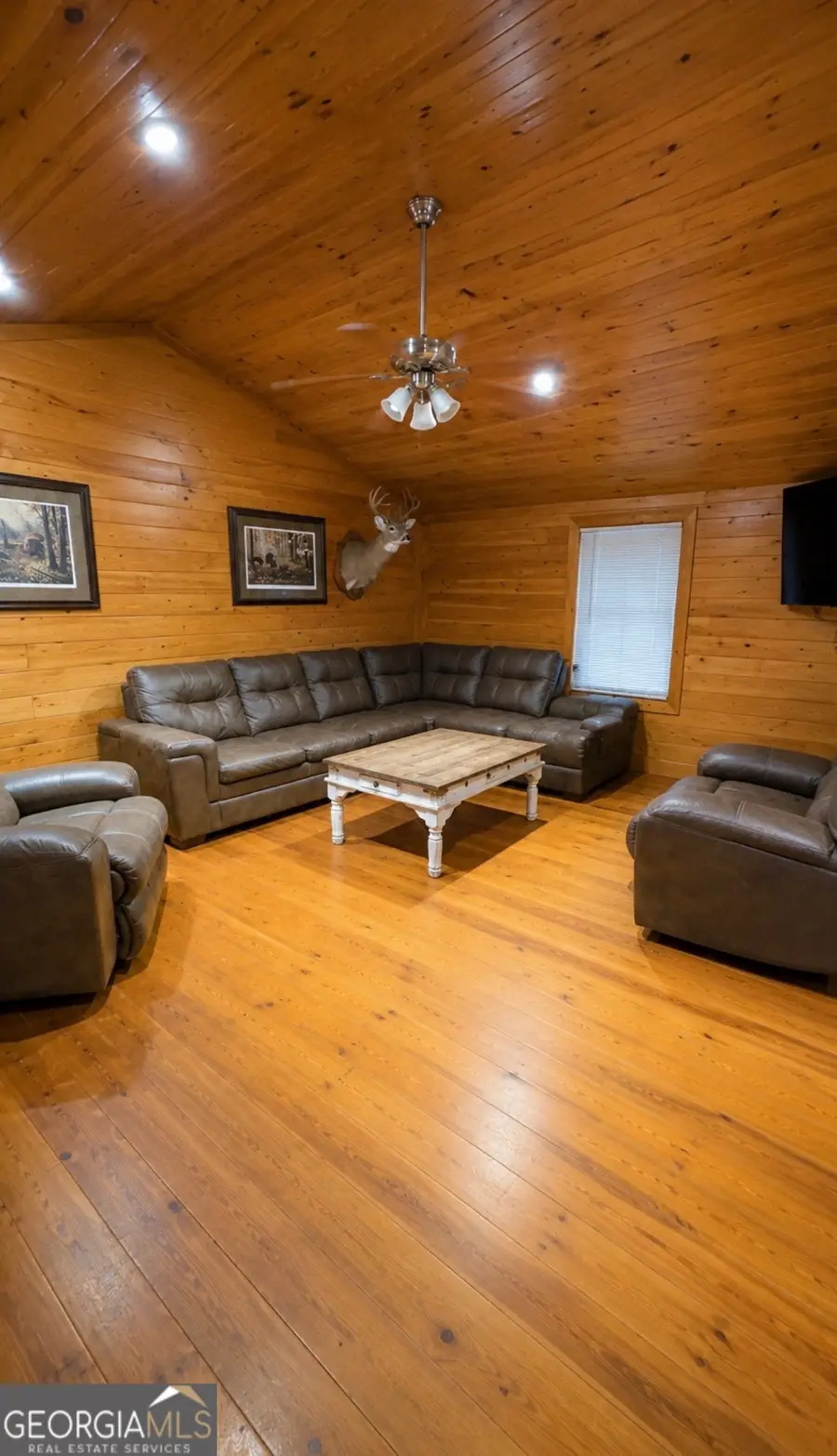 132 Mason Bridge Road, Wrightsville, GA 31096 - #3
