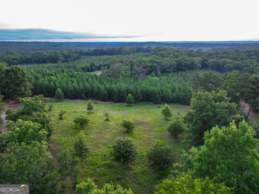0 Highland Circle, Flovilla, GA 30216 - #2