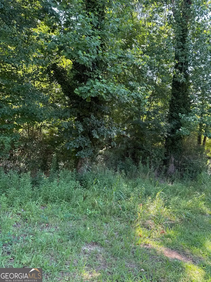 1978 Garden Drive, Gainesville, GA 30507 - #3