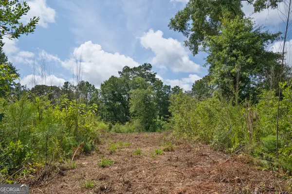 21 Askin Place, Culloden, GA 31016