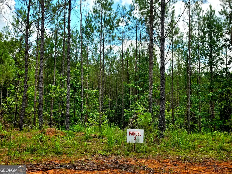 0 Highway 42 S #LOT 1, Forsyth, GA 31029 - #3