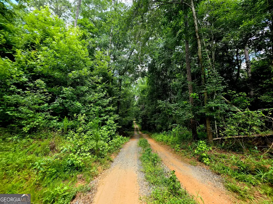 0 Highway 42 S #LOT 4, Forsyth, GA 31029 - #2