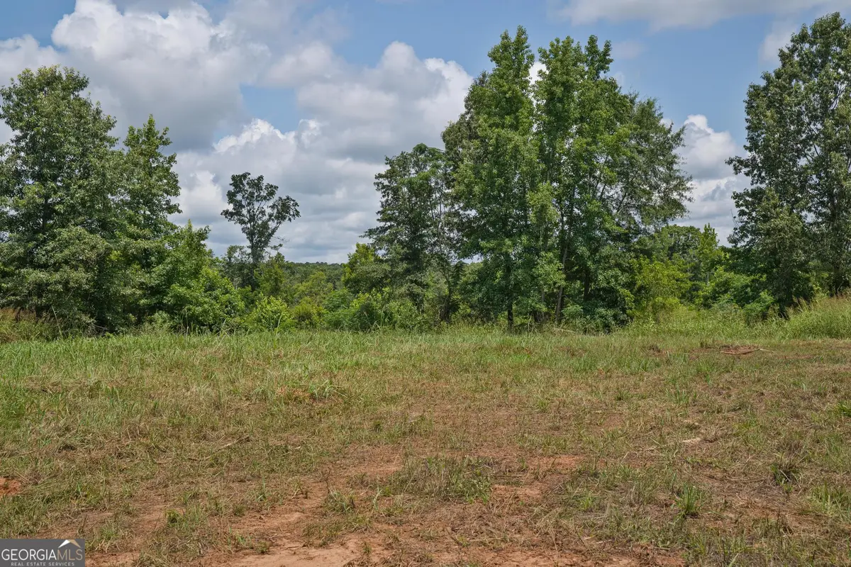 39 Askin Place, Culloden, GA 31016 - #1