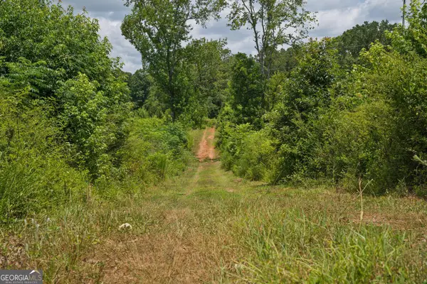 47 Askin Place, Culloden, GA 31016