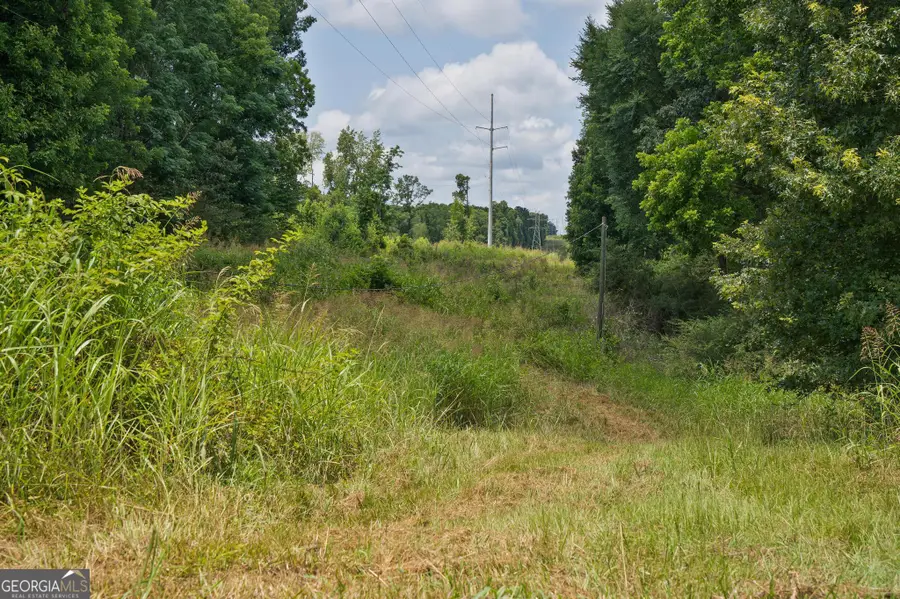 61 Askin Place, Culloden, GA 31016 - #2