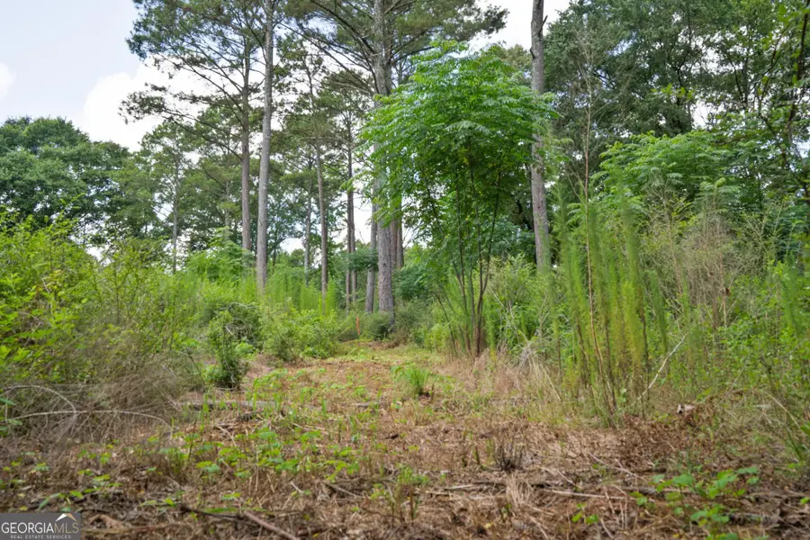 79 Askin Place, Culloden, GA 31016 - #2