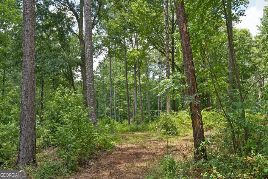 85 Askin Place, Culloden, GA 31016 - #2