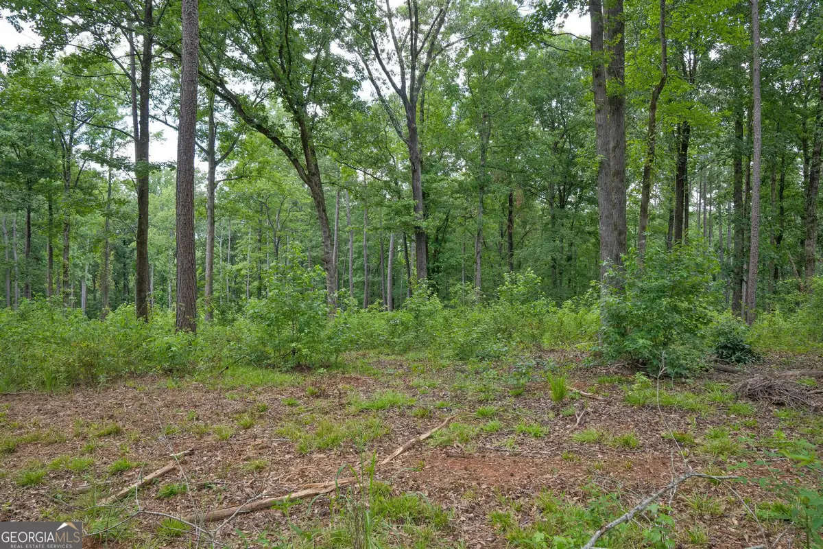 91 Askin Place, Culloden, GA 31016 - #1