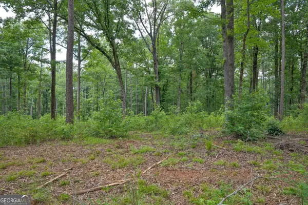 91 Askin Place, Culloden, GA 31016