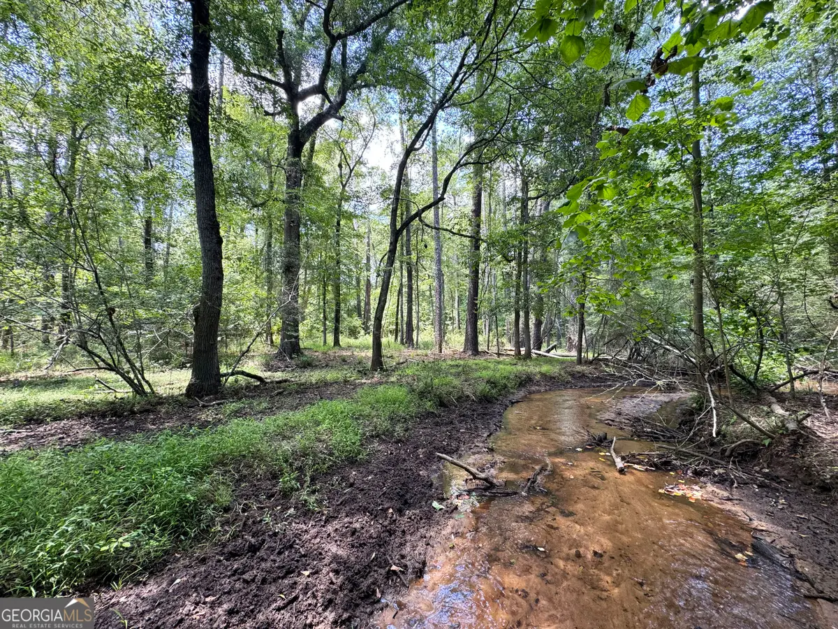 TBD Wooten Road, Cuthbert, GA 39840 - #1