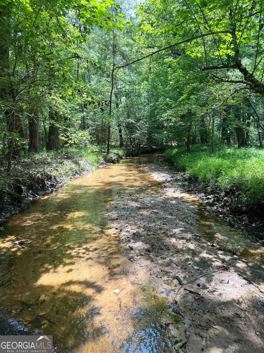 TBD Wooten Road, Cuthbert, GA 39840 - #2