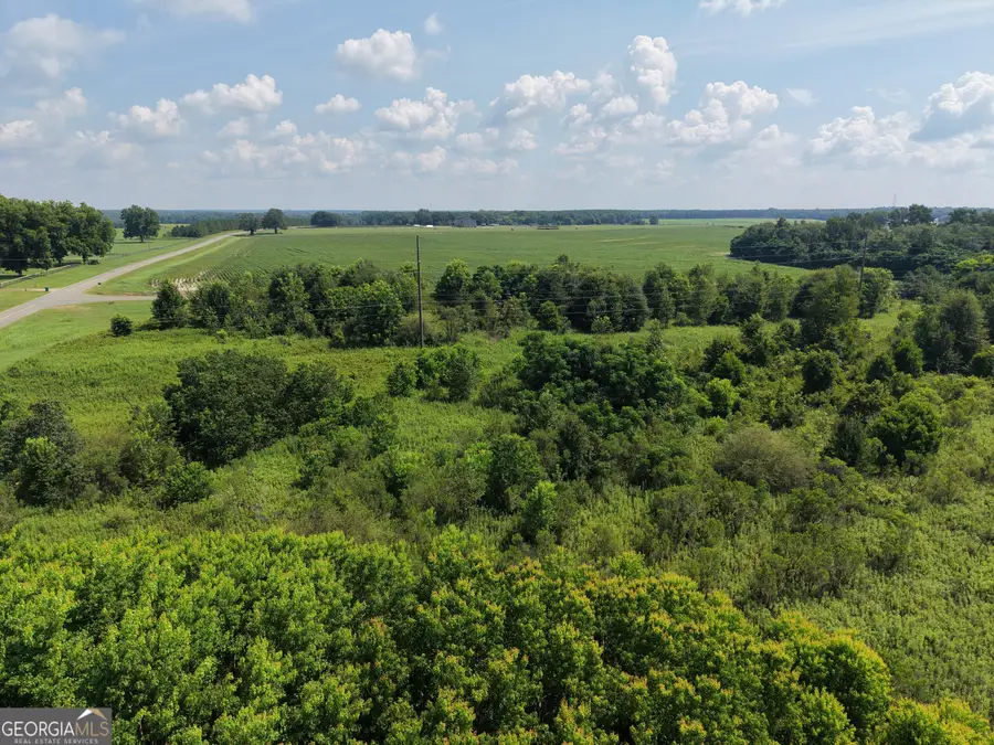 0 Elko Road, Unadilla, GA 31091 - #3