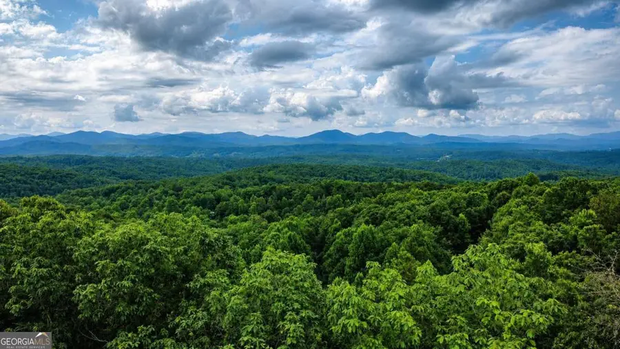 629 My Mountain Road #206, Morganton, GA 30560 - #3