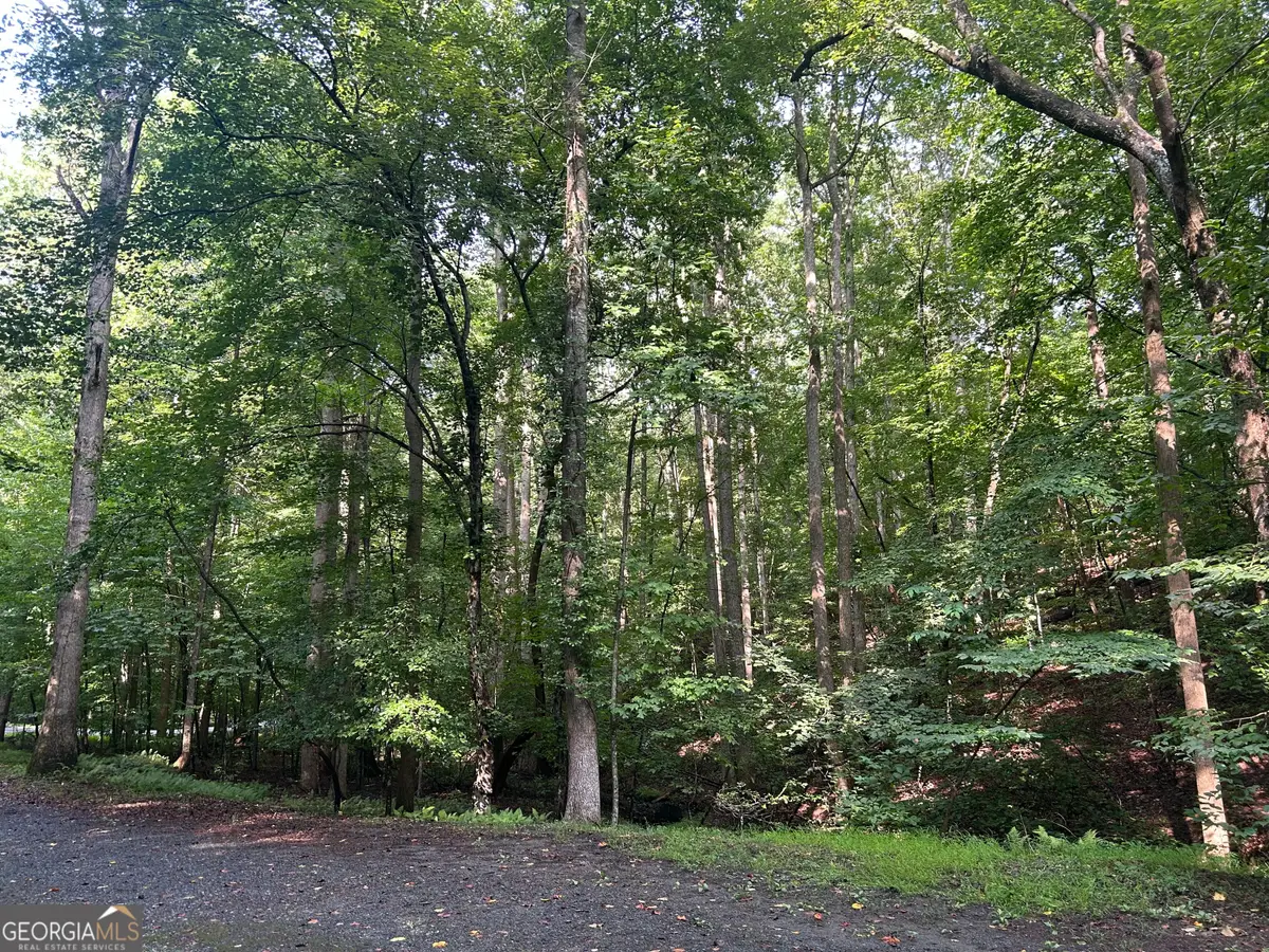 0 Shiloh Court #132, Ellijay, GA 30540 - #1