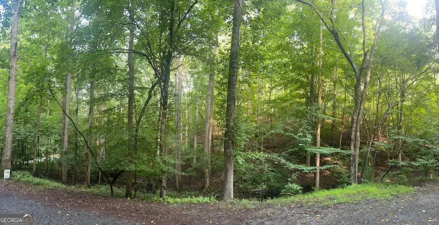 0 Shiloh Court #132, Ellijay, GA 30540 - #3