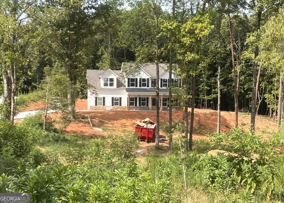 2063 Highway 197 N, Clarkesville, GA 30523 - #1