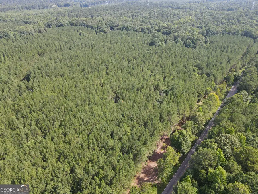 0 Lower Harmony Rd, Eatonton, GA 31024 - #2