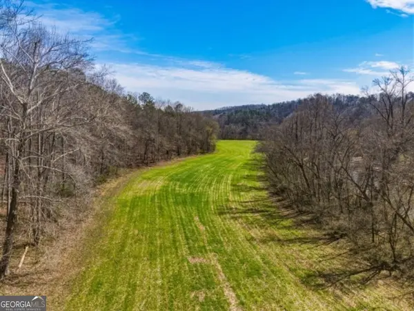 0 Hubbardsville Circle #B, Dawsonville, GA 30534