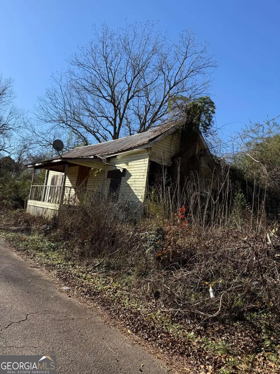 628 M L King Street, Greenville, GA 30222 - #2