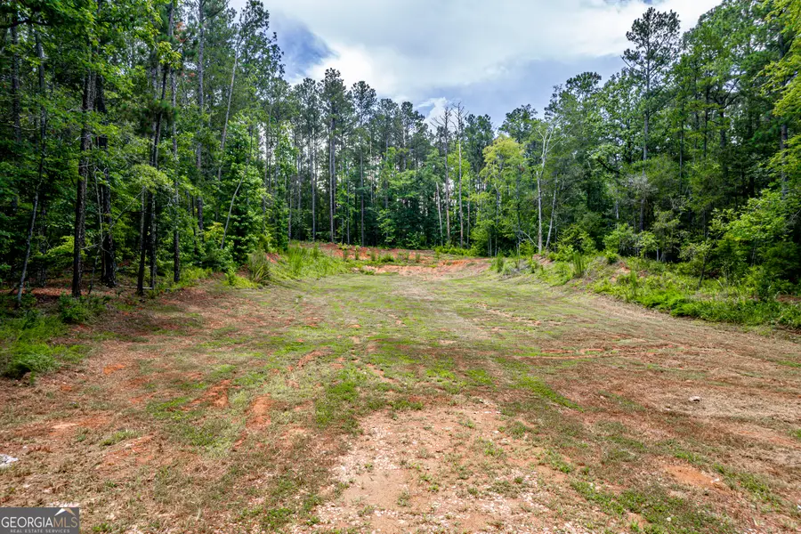 82 Cedar Drive, Sparta, GA 31087 - #3