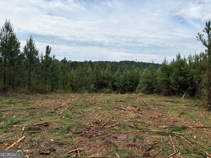 0 John Kay Road, Taylorsville, GA 30178 - #2