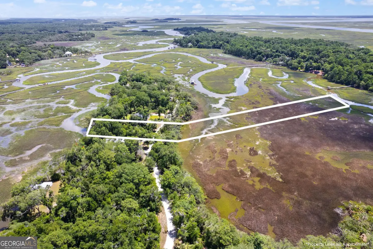 LOT 42 St Joseph's Point, Darien, GA 31305 - #1