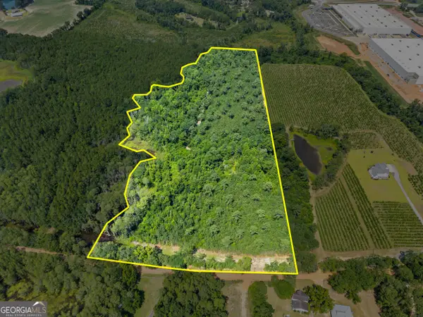 0 Jo Dan Road, Register, GA 30452