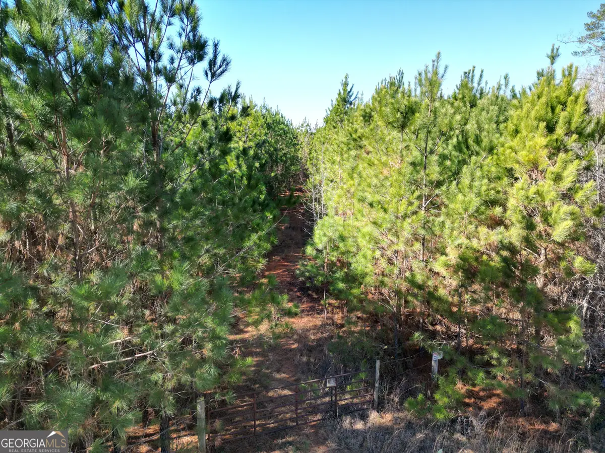 0 Jaudon Road #(30.03 ACRE LOT), Elberton, GA 30635 - #1