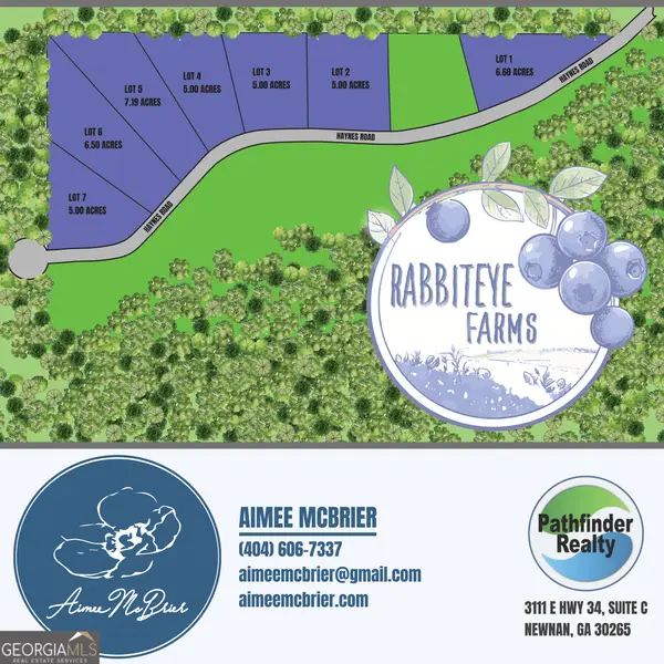 LOT 2 Haynes Road, Moreland, GA 30259