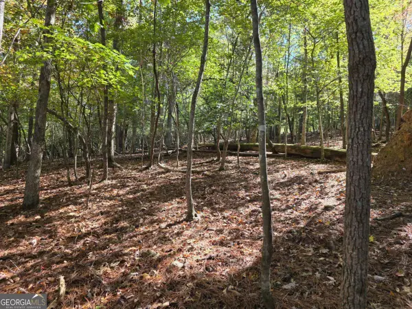 LOT #385 Zenith Trail #385, Ellijay, GA 30540