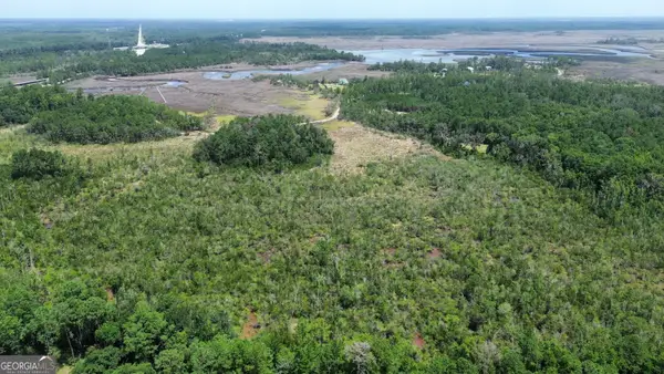 0 Newport Dr Ne, Townsend, GA 31331