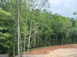 2180 Dunn Rd Road, Molena, GA 30258 - #3