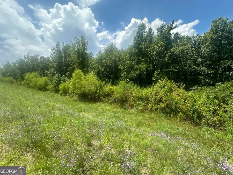 1475 Old Us Hwy Highway 1, Wadley, GA 30477 - #2