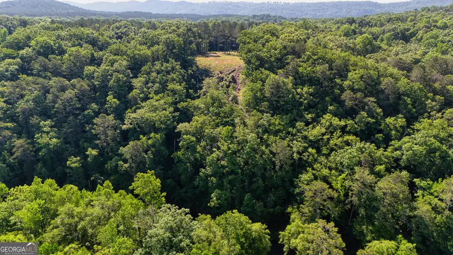 1450 County Rd 137, Cedar Bluff, AL 35959 - #2